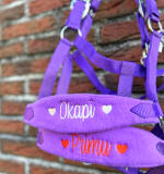 Halster met naam en figuurtjes